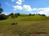 キャンプ場の画像