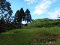 オートサイト(車3000円、バイク1000円)