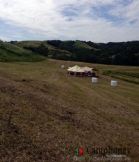 オートサイト(車3000円、バイク1000円)