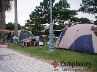 キャンプ駐車場1台500円＋テント持ち込み1区画1000～2000円、シーズン外は無料