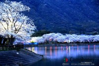 キャンプ場の画像