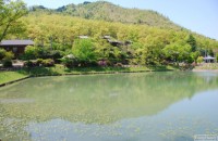 キャンプ場の画像