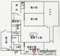 大型バンガロー(スカイハウス)(12人用)