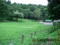 デイキャンプ【日帰り】