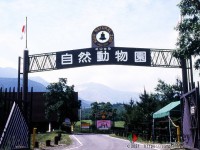 キャンプ場の画像