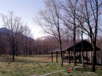 キャンプ場の画像