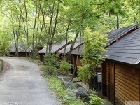 キャンプ場の画像