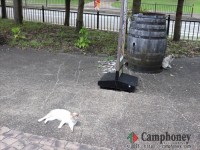 ワインナリー前