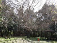 オートサイトの奥