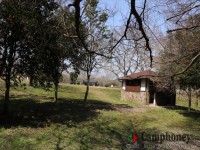 オートサイトの奥側のトイレ