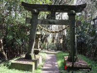 オートサイトの奥にある鳥居