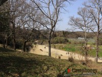 オートサイトのすぐ隣にパークゴルフ