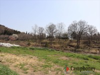 オートサイトの丘を下から眺めた場合