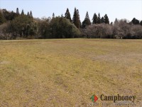 キャンプ場の画像