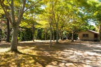 【バンガローエリア】持ち込みテント【ソロ】【宿泊】