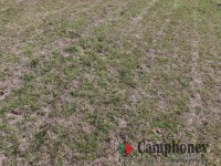 キャンプしやすい地面