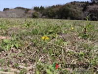 【花の広場オートキャンプ場】持ち込みテント【宿泊】【ソロ】ペット可、オートサイト