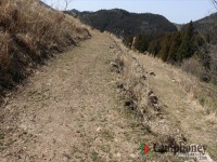 フリーサイトエリア（小型テント向け）