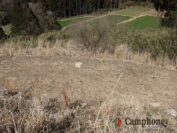 フリーサイトエリア（小型テント向け）