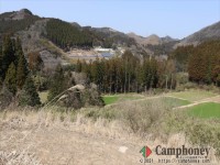 フリーサイトエリア