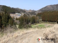 フリーサイトエリア