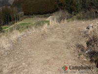 フリーサイトエリア