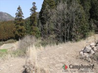 フリーサイトエリア