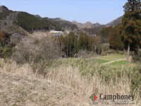 フリーサイトエリア