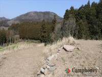 フリーサイトエリア