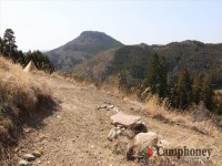 フリーサイトエリア