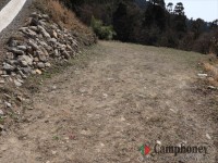 フリーサイトエリア（広めエリア）