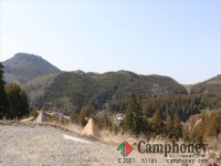 フリーサイト【宿泊】