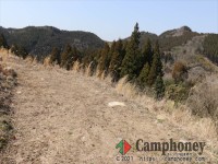 フリーサイト【宿泊】