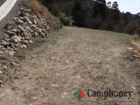 フリーサイト【宿泊】