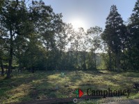 【芝生サイト】【宿泊】乗入れOK、ペット可