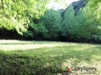 キャンプ場の画像