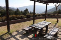 デイキャンプ（日帰り）バーベキュー