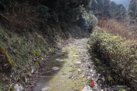 入口広場から山奥のキャンプ場への入口