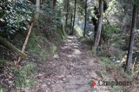 本来のキャンプ場への道中