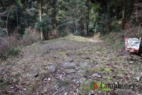 本来のキャンプ場への道中