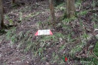 本来のキャンプ場への道中