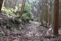 本来のキャンプ場への道中