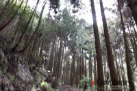 本来のキャンプ場への道中