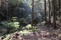 本来のキャンプ場への道中