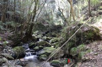 本来のキャンプ場への道中