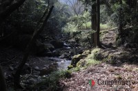 本来のキャンプ場への道中