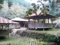 キャンプ場の画像