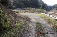 キャンプ場の画像