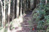 キャンプ場の画像