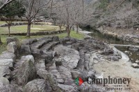 【有料】車横付け不可（大きめテントはこちら）